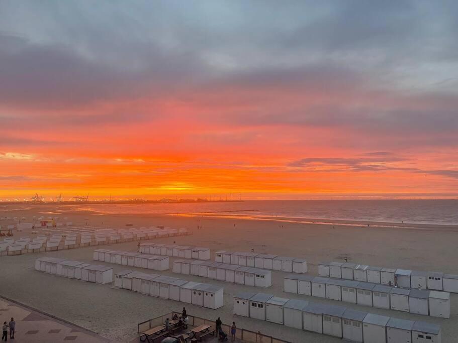 Seafront Apartment 2 Bed Duinbergen Knokke-Heist Exterior foto